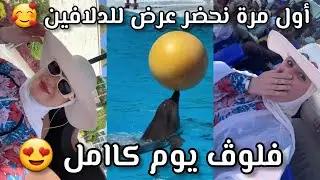 نبيلة ijustdkbroo : أول مرة نسبح مع الدلفين روعة 😍 فلوق يوم  كامل بزاف كيوت حبيت نربي دلفين🥰