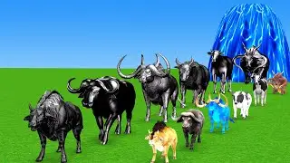 Paint Animals Bull Cartoon,Buffalo,Cow,yak,Ox, Bison Fountain Crossing Animal Transformation Game