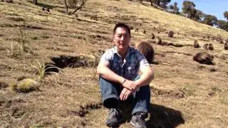 Chris Austria With The Gelada Monkeys In Simien Mountains- Ethiopia