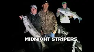Big Nighttime Stripers Fishing The Lower Feather