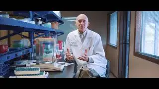 Which omega 3s will raise the Omega 3 Index