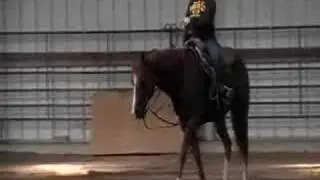 Zippos Fancy Felix