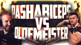 pasha vs olof