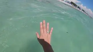 My Anna Maria Island Escape