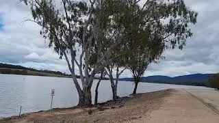 Lake Nillahcootte #australia #explore #travel #nature #trending #viral