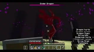 Killing Ender Dragon -- Minecraft 1.21.4 singleplayer
