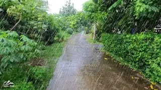 Light rain in beautiful countryside