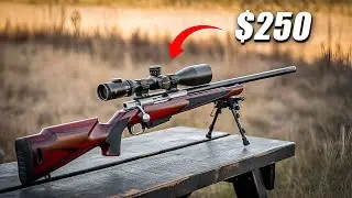 30 Budget RIFLES That Shoot Like They Cost $2,000!!!