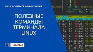 LX1.2 Служебные команды терминала