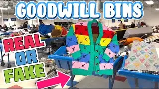 Louis Vuitton?? FANTASTIC DAY at the Goodwill Bins | Spent $24 Today Thrifting For Treasures 