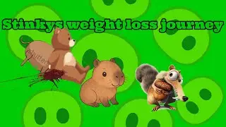 (King pigs crazy adventures) stinkys weight loss journey