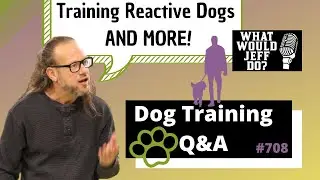 Dog Training Q&A - Training Reactive Dogs - What Would Jeff Do? Ep.708 (2020)