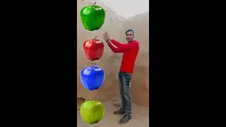Biscuit rounding to Koyal,tota,ullu ,kabootar bfx magic video #pharbhatvfx