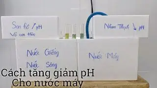 Cách tăng giảm pH cho nước máy | Cá bảy màu