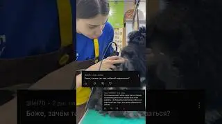 А вы на какой стороне? #тренды #животные #shorts #grooming