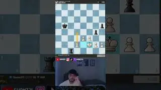 Я люблю эндшпили с ладьей и пешкой.