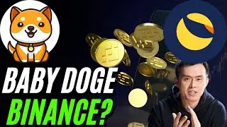 BABY DOGE ARMY: Pay Close Attention To TERRA LUNA CLASSIC & BINANCE