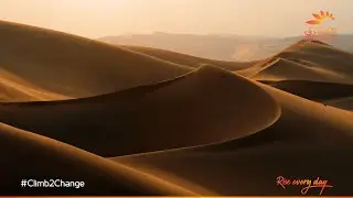 Discover the meaningful impact of Mashreq Notice Nature Initiative.