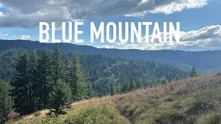Hiking in Blue Mountains - Washington