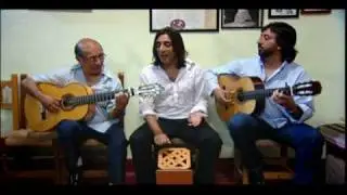 Habichuela en Rama