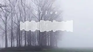 Alive - Psy Hardstylezz.