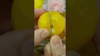 Gelbe Pflaumen #fruits