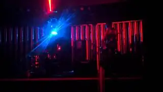 A Disco For Ferns