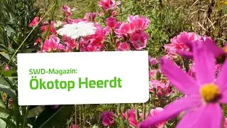 &Ouml;KOTOP HEERDT: Ein gr&uuml;nes Paradies | Stadtwerke D&uuml;sseldorf
