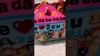 McDonald&rsquo;s adult Happy Meal with cactus plant flea market toys #shorts