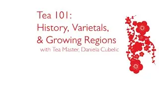 Tea 101: History, Varietals & Growing Regions