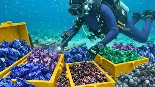 $620 Million Rare Earth Minerals Found on the Seafloor | A Real Deep-Sea Salvage Expedition