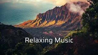 Digital Solitude - Silent Partner | Relaxing Music | Meditation Music | Calm Music | Nature Videos