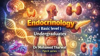 Endocrine Physiology - Pituitary gland part 1