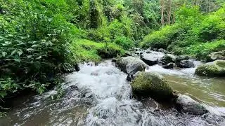 Peaceful river relaxation under moonlit forest sky helping deeper deeper deep sleep feel natural