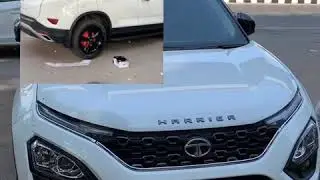 Tata harrier modification harrier alloys painted harrier roof wrap harrier accessories skycar Delhi