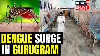 Dengue Cases In Gurugram  2023 | Dengue And Viral Fever Cases Increase In Gurugram | Health | N18L