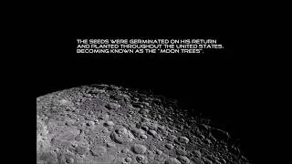 Roosa's Moon