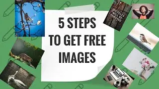 How to Find and Download Copyright-Free Images from Google Safely