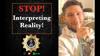WILD SATSANG - STOP! Interpreting Reality!