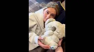 Hurry up to buy a breathing koala with a 50% discount! 🐨Link in bio ❤️