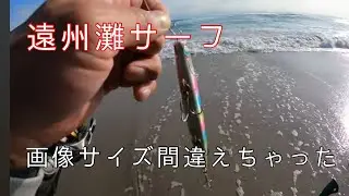 [遠州灘サーフ]ベイトは沢山の真昼間　2025.12.13　＃遠州灘サーフ　＃田原サーフ　＃釣り