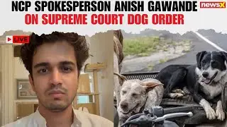 LIVE | NCP (SP) Spokesperson Anish Gawande on Supreme Court Stray Dog Order | NewsX Exclusive