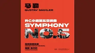 第一乐章 葬礼进行曲: I. Trauermarsch