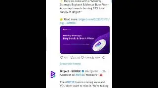 Bitgert brise 99% burn.. price to the moon