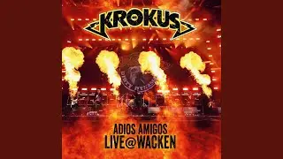 Bedside Radio (Live Wacken)