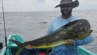 Pesca de dorado, cerca de Isla Otoque.
