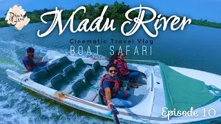 Madu Ganga | Madu River Boat Safari | Balapitiya | Sri Lanka | Cinematic| Diary of Love | Episode 10