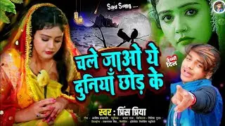 #चले जाओ ये दुनियाँ छोड़ के#Prince Priya ka Dard bhara Gazal geet#Jakhmi Jack box#2026 ka #Non Stop 