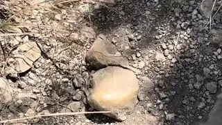 Bull creek greenbelt & Balcones canyonland. Austin Texas nature hike