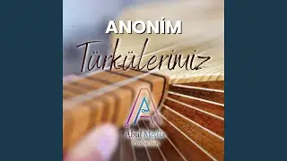 Asker Ettiler Beni Uçun Kuşlar Uçun